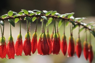 佛山顺德区4私人快速借钱网，轻松解决资金难题