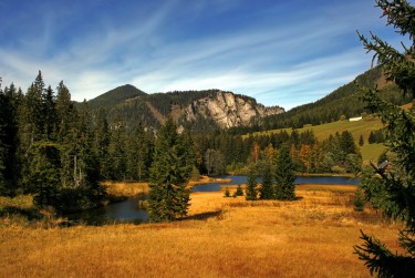 佛山顺德区4民间私贷攻略：揭秘低成本借贷的秘密