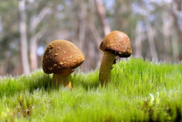 佛山顺德区4私人老板放款：轻松融资的秘密通道